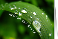 Refresh and Renew