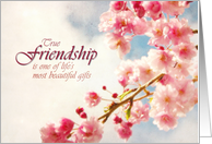 True Friendship - Thank You Card