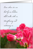 Pink Tulip - Get Well Soon Card for Cancer Patients card