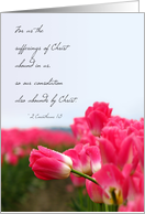 Pink Tulip - Encouragement Card