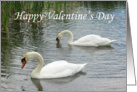Swim Along With Me and Be My Love Happy Valentine’s Day card