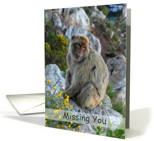 Missing You card (1008483)