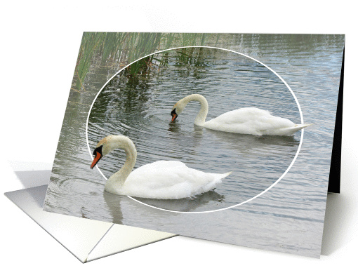 Swim Along With Me card (1029883)