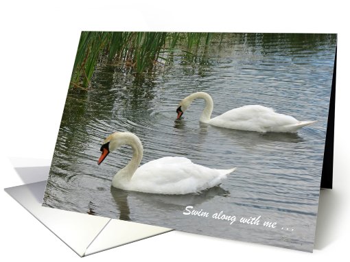 Marriage Proposal, Two Swans card (874777)