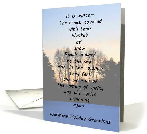 Warmest Holiday Greetings card (879826)