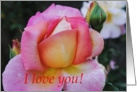 pink rose, I love you card