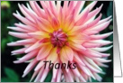 pink dahlia, thanks card