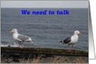 seagulls, we need to talk, I’m sorry card