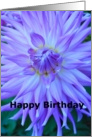 purple dahlia, birthday card