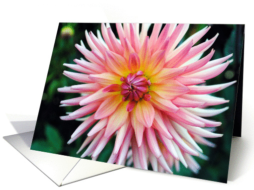 Pink dahlia card (859844)