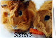 Thank You, Guines pig sisters card