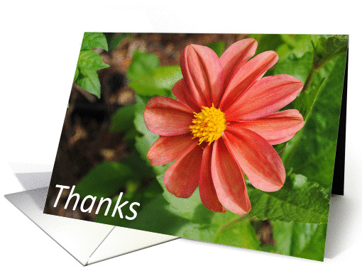red flower thanks card (860726)