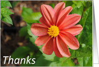 red flower thanks card