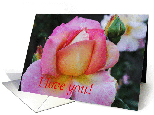 pink rose, I love you card (860735)