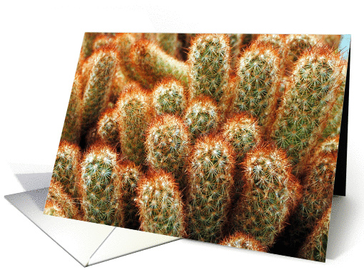 Cactus, blank card (860938)