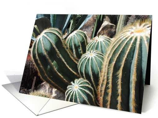 Cactus, blank card (860940)