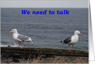 seagulls, we need to talk, I’m sorry card