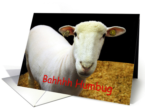 Sheep, Bah Humbug card (864709)