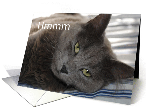 Cat, birthday, hmmm card (865961)