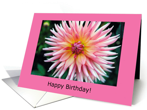 pink dahlia, birthday card (865965)