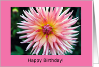 pink dahlia, birthday card