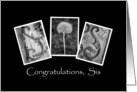 Sis - Congratulations - Alphabet Art card