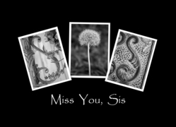 Sis - Miss You -...