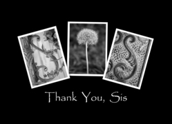 Sis - Thank You -...