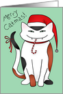 Sassy calico Christmas kitty card