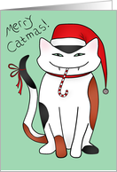 Sassy calico Christmas kitty card