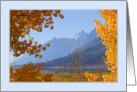 Autumn in Tetons blank card