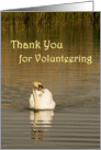 Swan-Thank you for Volunteering card