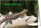 Dragon Lizard Birthday card