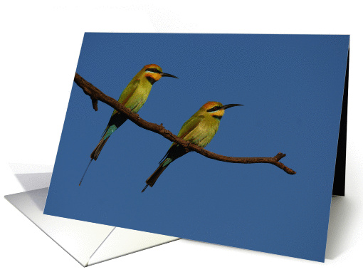 Bee-eater blank greeting card (1176752)