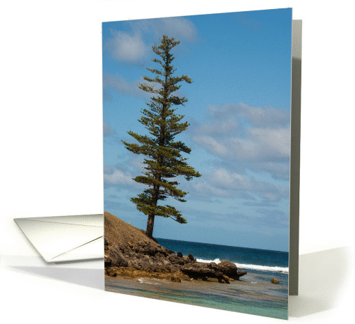 Lone Pine Blank card (1392770)