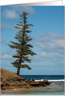 Lone Pine Blank card