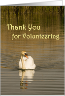 Swan-Thank you for Volunteering card