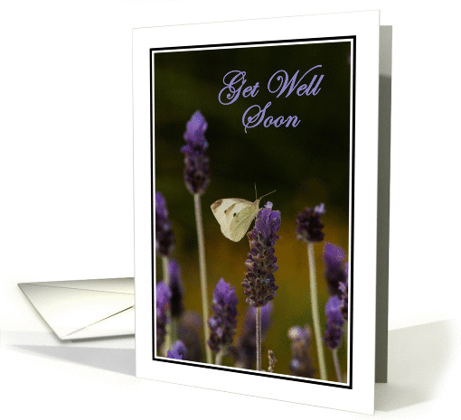 White Butterfly on Lavender-Get Well Soon card (1430192)