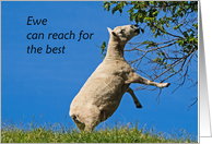 Ewe can reach for the best Encouragement card