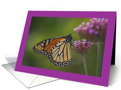 Butterfly-Blank card (867559)