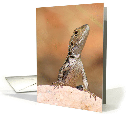 Dragon Lizard blank card (872760)