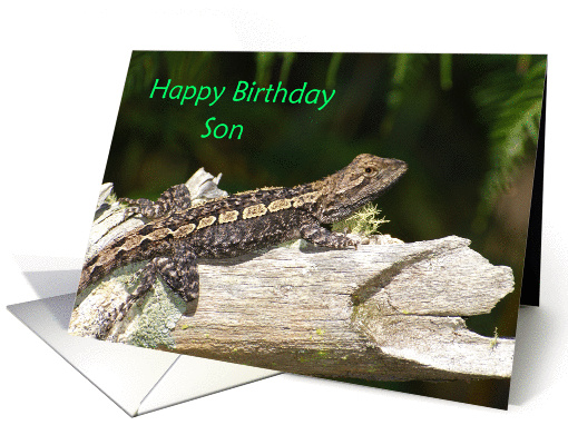 Dragon Lizard Birthday Son card (873233)