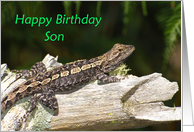 Dragon Lizard Birthday Son card