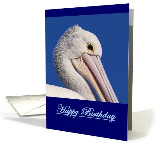 Happy Birthday, Australian Pelican blank card (883280)