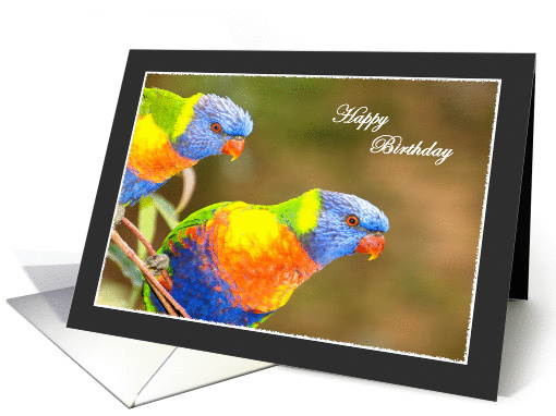 Rainbow Lorikeets Birthday Greeting card (884773)