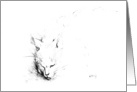 Fine Art - Pen & Ink Cat card