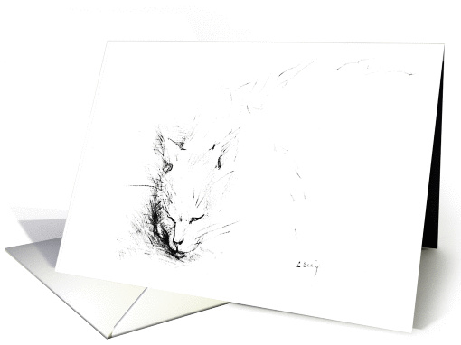Fine Art - Pen & Ink Cat card (863918)