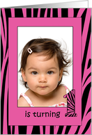 Zebra Baby Girl Turnig One Year Old photo card
