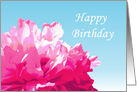 Pink Peony Birthday Card