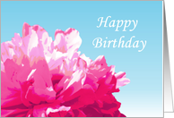 Pink Peony Birthday Card